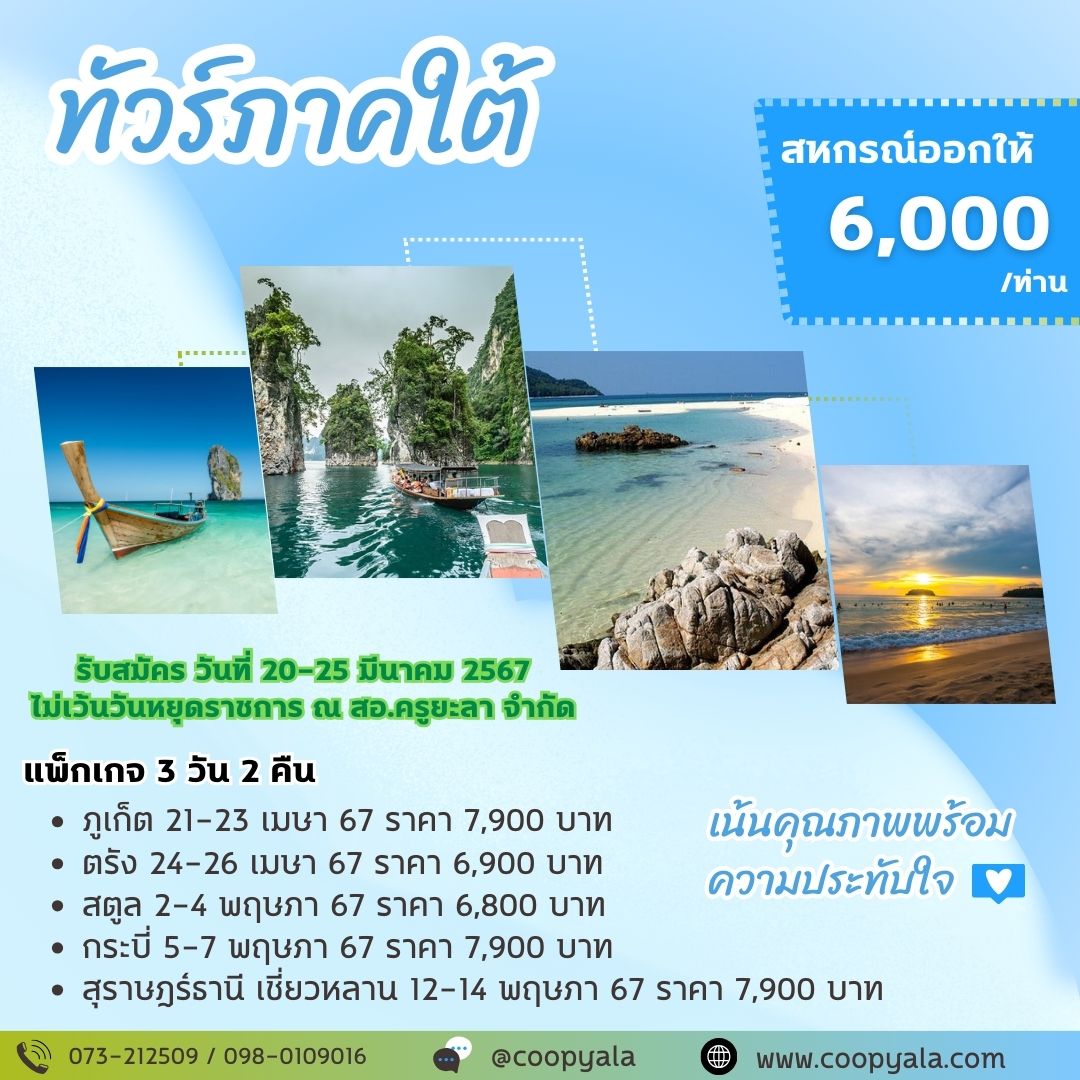 สฟา และ สเขยว เรยบงาย ไลส แพกเกจโป